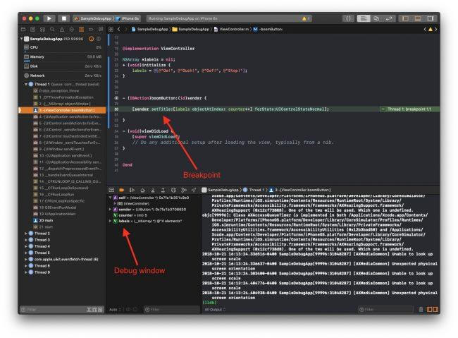 Debug iOS: Image of the debugger in XCode