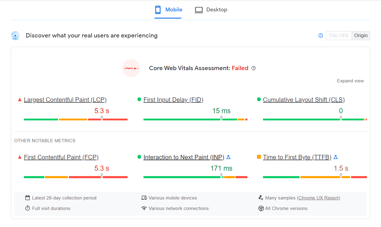 PageSpeed Insights results